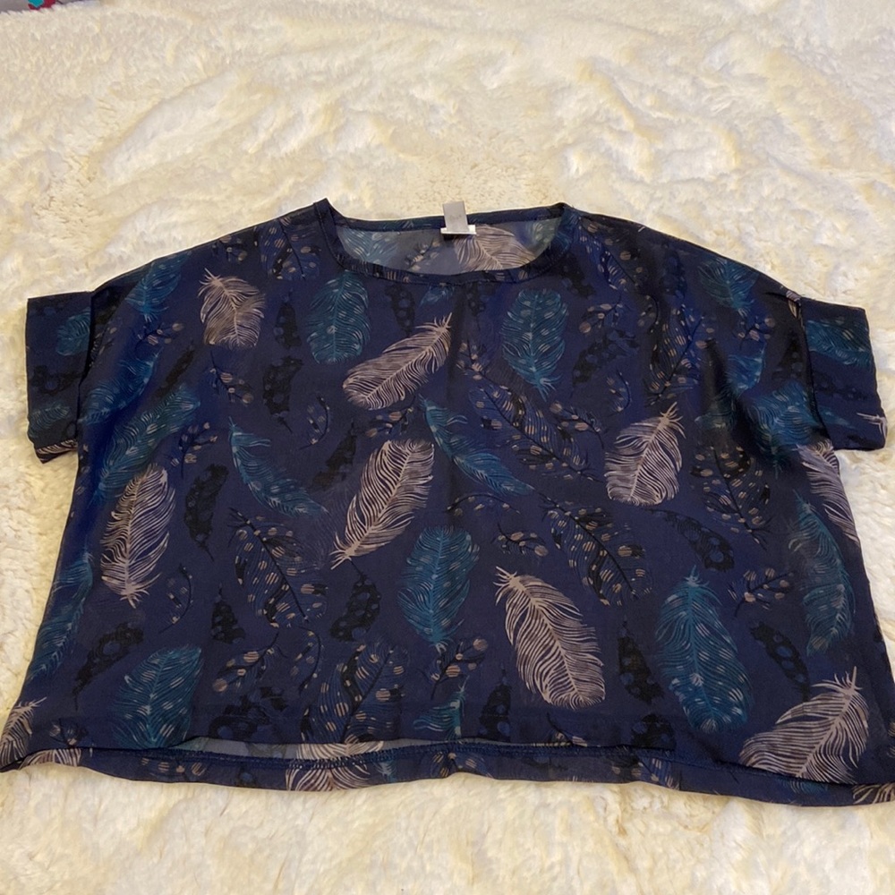 Sheer cropped top